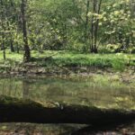 Alsterwanderweg Teaser